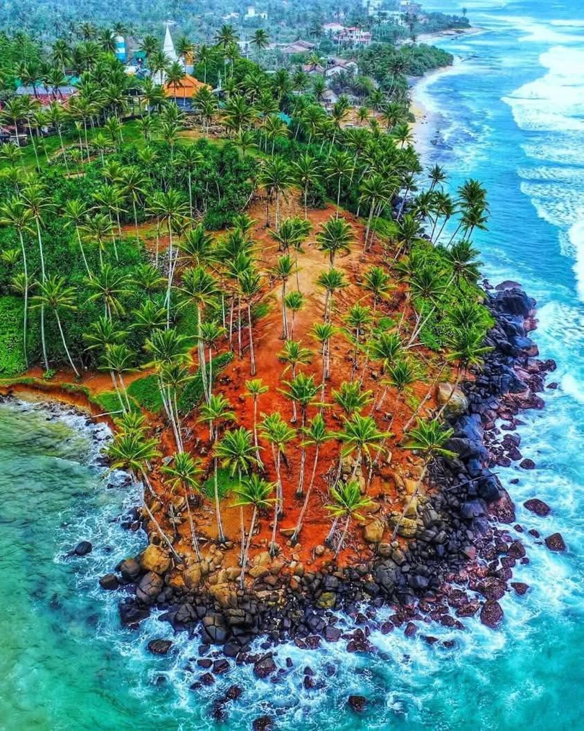 Dillenia Canopy Mirissa Bagian luar foto