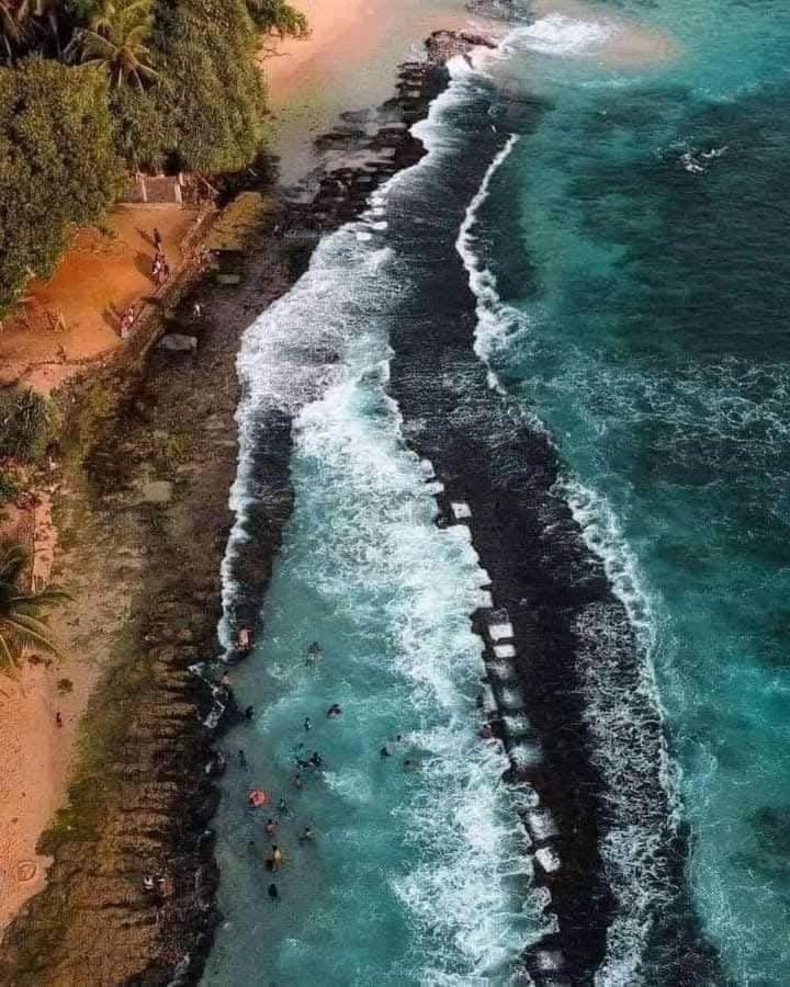 Dillenia Canopy Mirissa Bagian luar foto