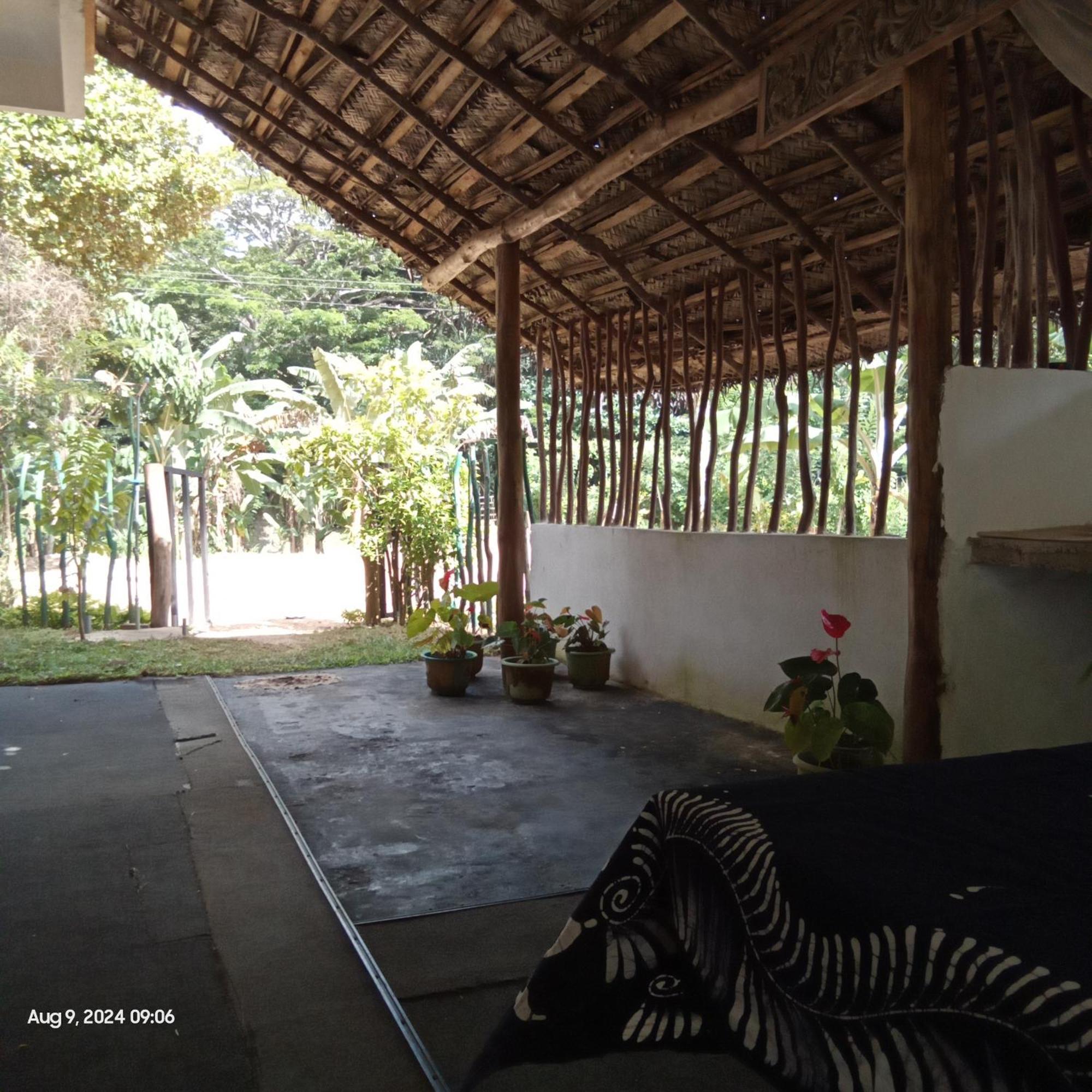 Dillenia Canopy Mirissa Bagian luar foto